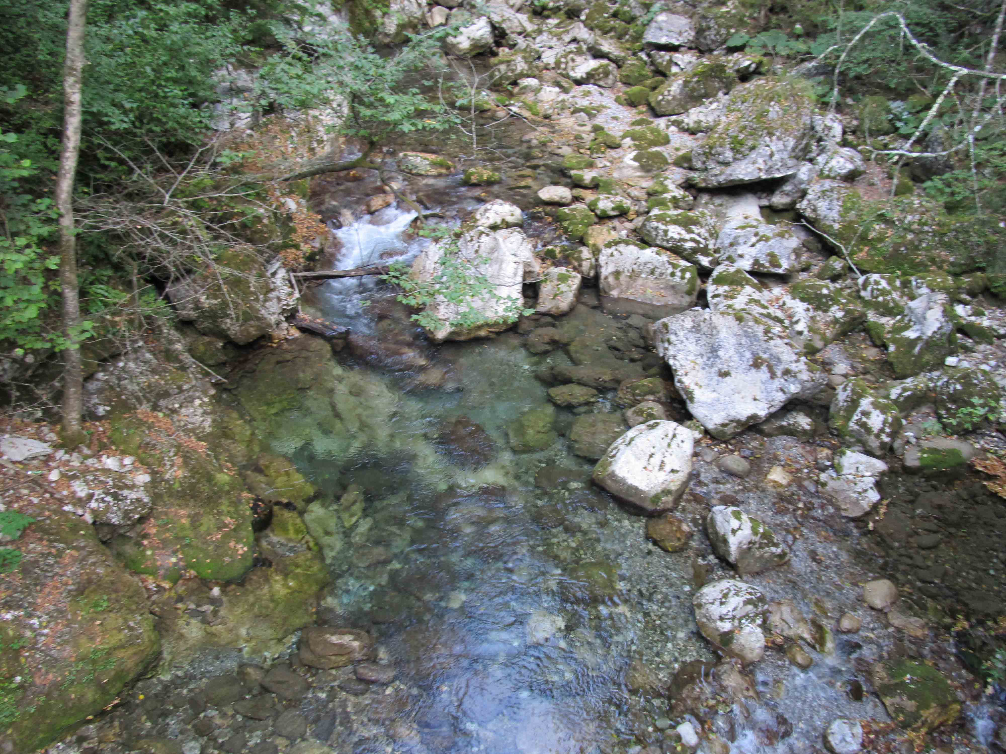 Read more about the article פרשת תצווה תשעח