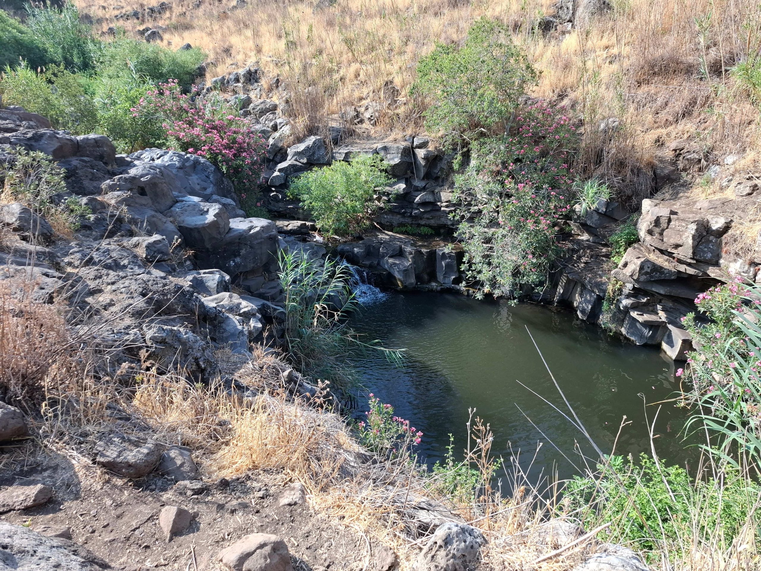 דרור עמיצור - טיפול אישי וליווי הורי