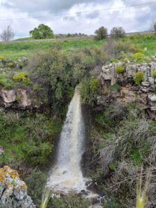 dror-amitzur